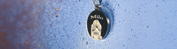 Necklace charm with paw print