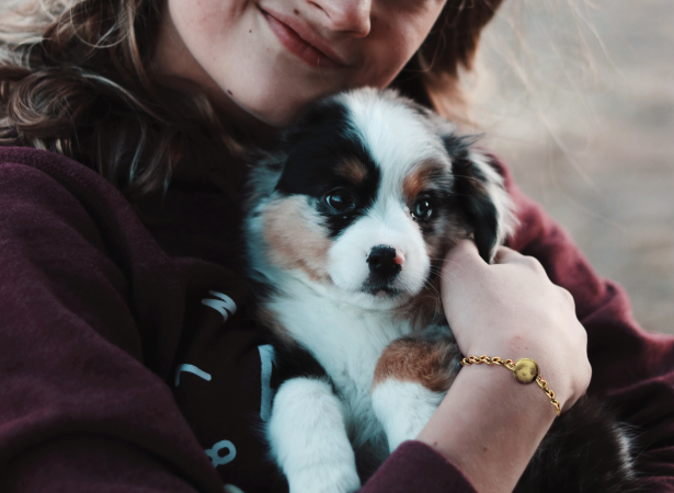 engraved jewelry for pet owners